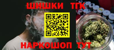 спайс Кингисепп